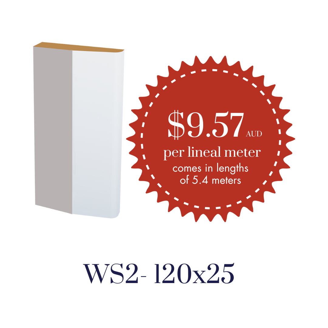 WS2 - Skirting Block